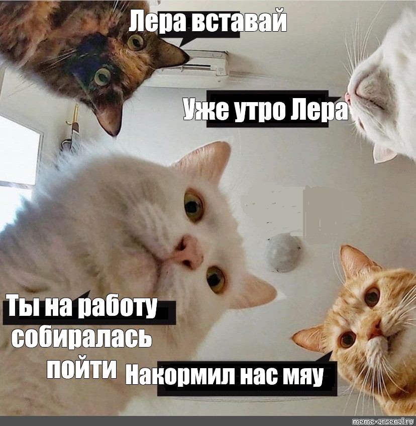 Meme: Лера вставай Уже утро Лера Ты на работу собиралась пойти