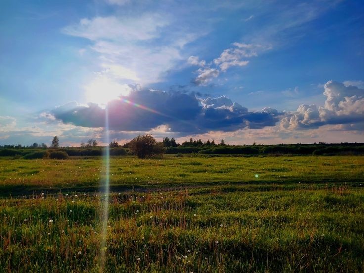 Создать мем: лето, фотографии, красота