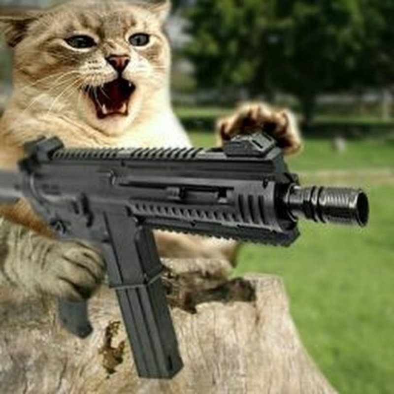 Create meme: a cat with a gun, cat with a machine gun, a cat with a gun