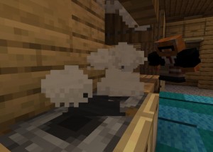 Create meme: sheep in minecraft, screenshot, minecraft