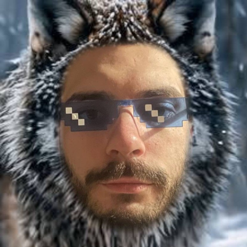 Create meme: grey wolf , big wolf, male 