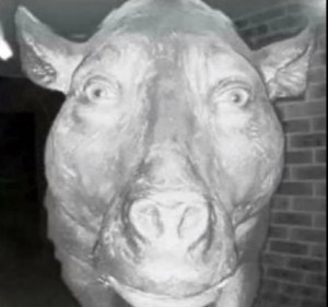 Создать мем: мем свинья, страшная корова в глазке, страшная свинья