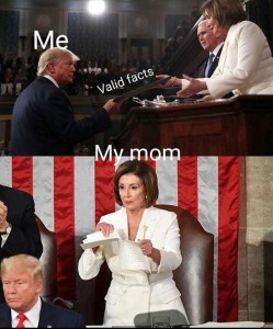 Create meme: Pelosi, Pelosi slams trump GIF, nancy pelosi donald trump