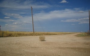 Create meme: tumbleweed, rolling stone, Empty