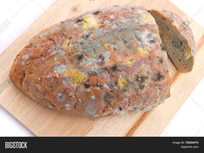 Create meme: potato disease of bread, moldy bread, mold on bread