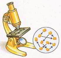 Create meme: microscope