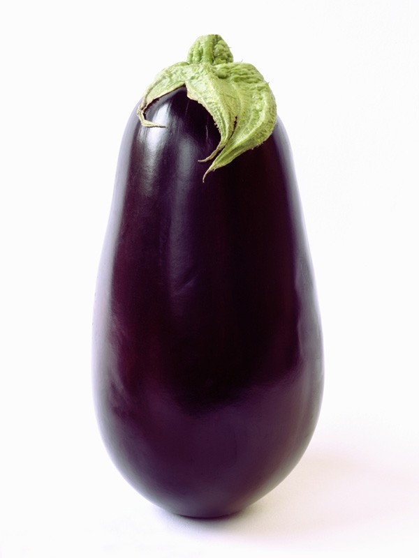 Create meme: eggplant , eggplant on white background, eggplant plant