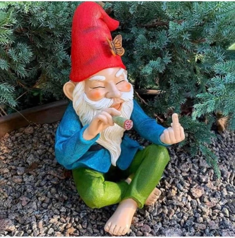 Create meme: the green dwarf, little gnome, garden gnome