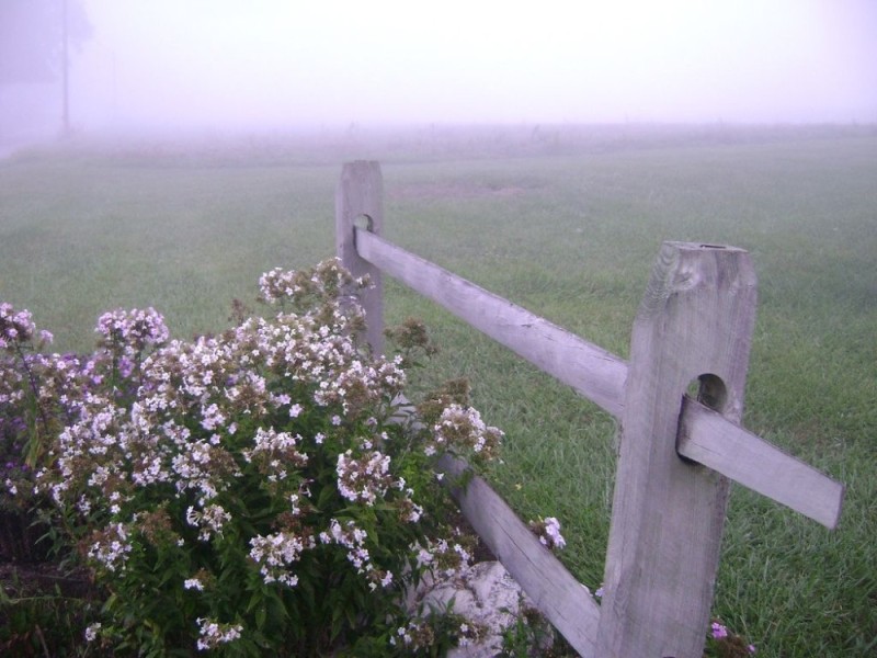 Create meme: oregano oregano, oregano ordinary, oregano is an ordinary farm girl