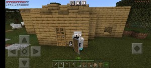 Create meme: minecraft PE, game minecraft, minecraft survival