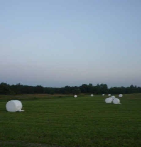 Create meme: agrostrain haylage, haylage, bales of hay