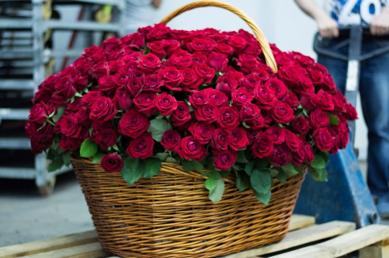 Create meme: a bouquet of roses in a basket, huge bouquets of roses, basket with red roses