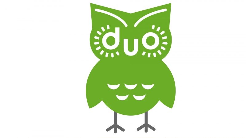 Create meme: duolingo, The green owl, duolingo logo