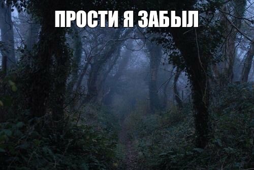 Create meme: nature , A mysterious tree in the forest, mystical forest