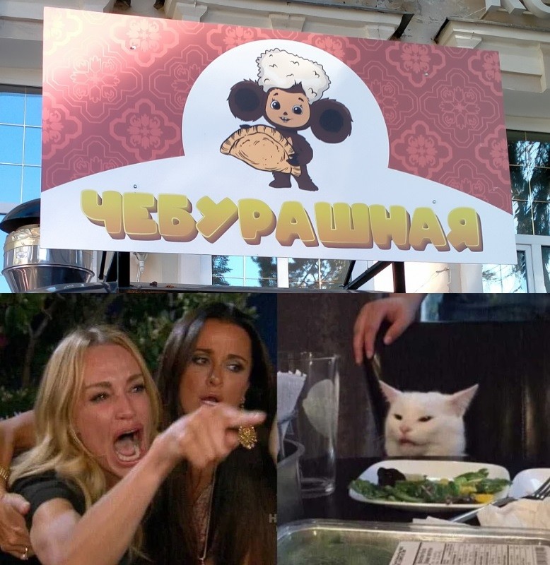 Create meme: meme with screaming woman and a cat, the meme with the cat at the table, MEM woman and the cat