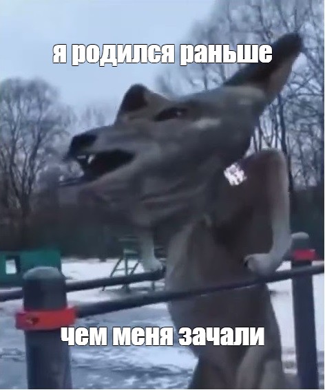 Создать мем: null