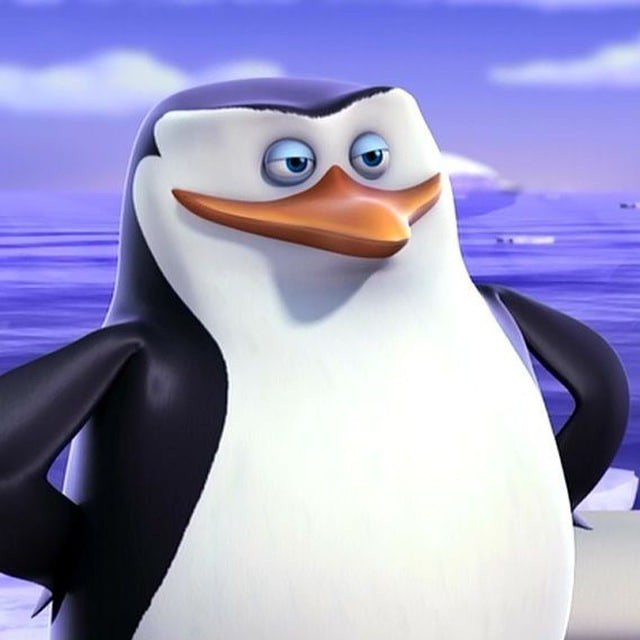 Create meme: penguins of Madagascar skipper, the penguins of Madagascar Rico, the penguins of Madagascar Kowalski