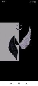 Create meme: angel wings, angel wings, the wings of a demon
