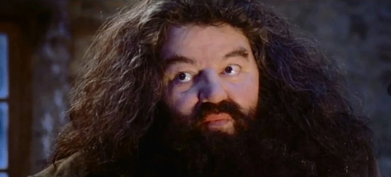 Create meme: Robbie Coltrane is Hagrid, Hagrid from Harry, hagrid the actor