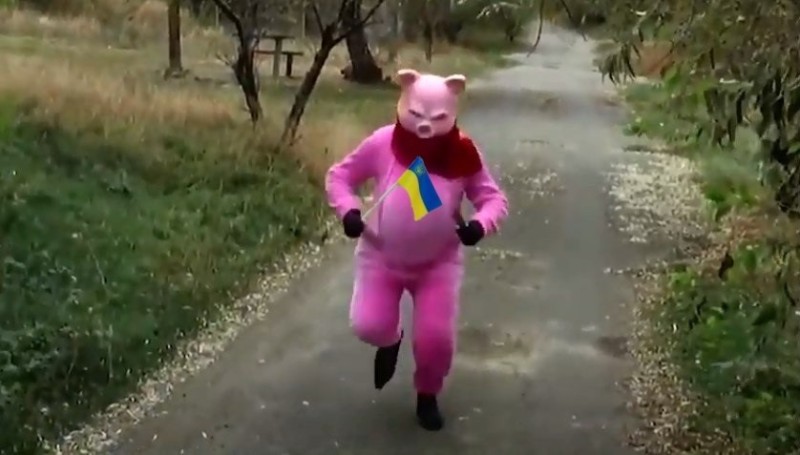 Create meme: pig costume, pig , piggy 