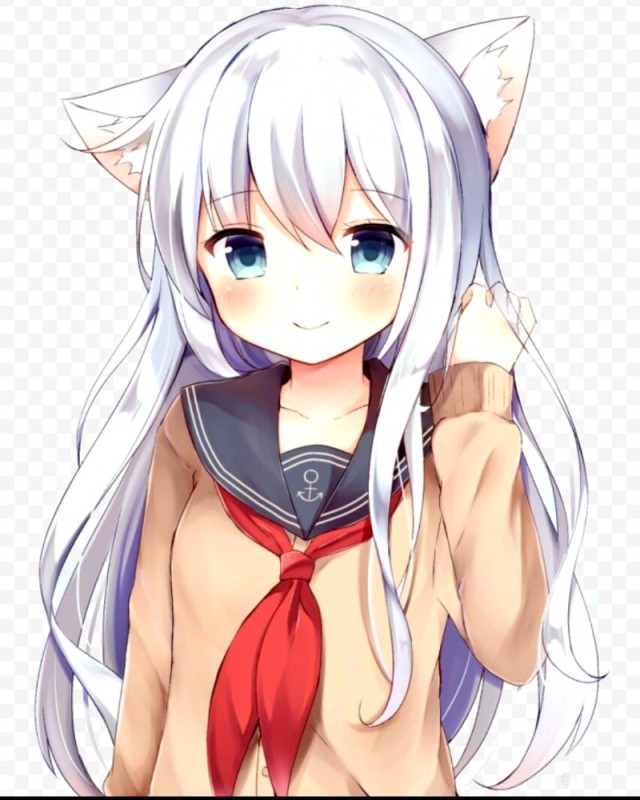 Create meme: Chan anime, anime neko, neko chan