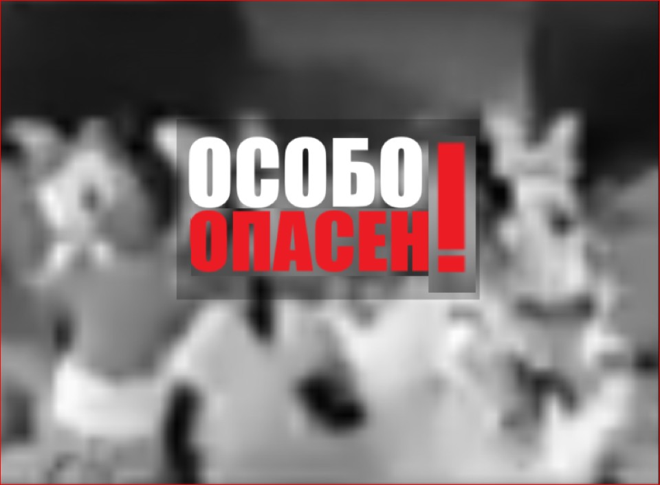 Создать мем: осторожно бешенство, особо опасная особа, особо опасен 2008