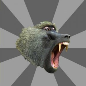 Create meme: baboon, baboon, baboon