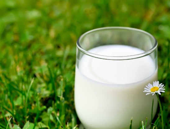 Create meme: milk on the grass, milk milk, goat's milk