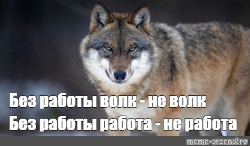 Волк одиночка Мем с мужиком где сам себе. Картинка волк одиночка прикол.