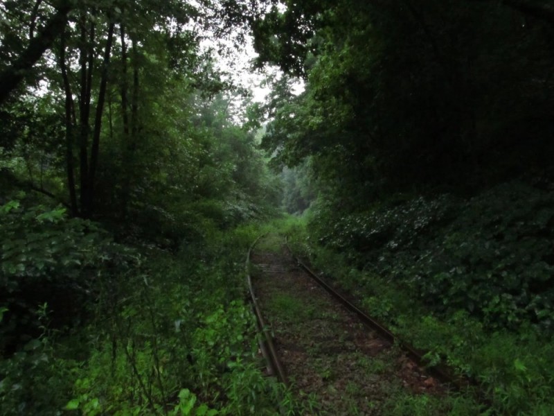Create meme: darkness, the road to , railway in Kazan in the forest