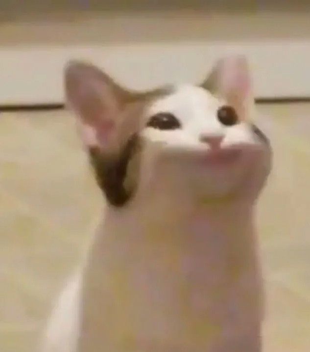 Create meme: cat with open mouth meme, the cat opens his mouth, cat 