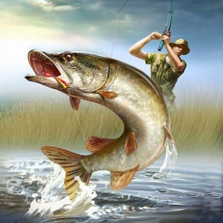 Create meme: fishing-themed paintings, angler, pike fishing