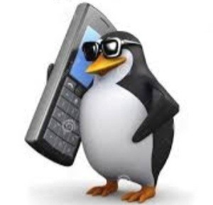Create meme: the penguin is funny, Hello penguin, meme penguin phone