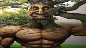 Create meme: living tree, tree, nature