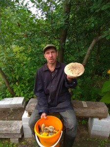 Create meme: Norilsk pickers, mushroom, people