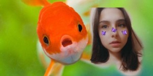 Create meme: fish, the face of the fish, beautiful cute fishes