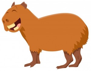 Create meme: capybara animal, funny capybara, the capybara