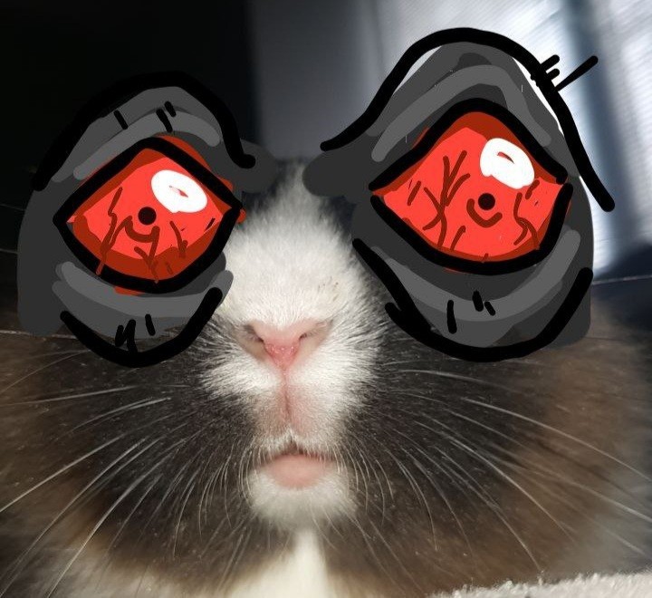 Create meme: cat meme , people , A hamster with glasses