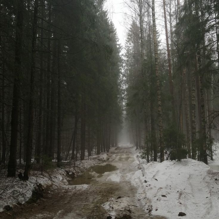 Create meme: vyaryamyanselka mill ridge, nature , winter forest