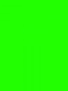 Create meme: green