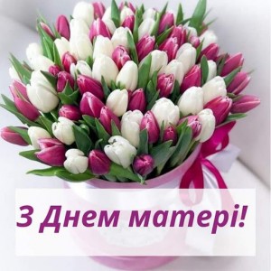 Create meme: flowers, the flowers of spring, tulips