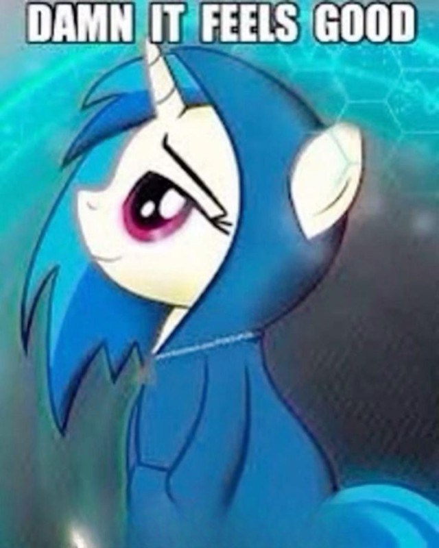 Create meme: pony , my little pony my little pony, vinyl scratch pony