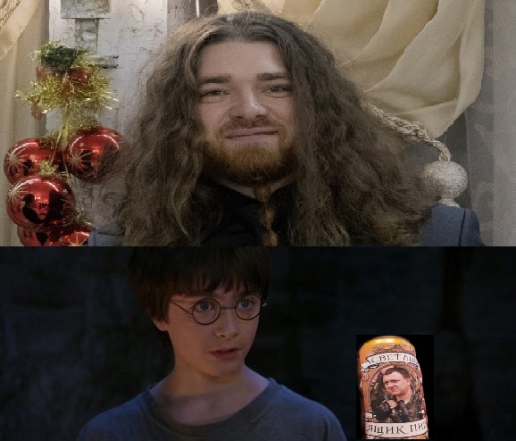 Create meme: Harry Potter , harry potter harry, Harry Potter Hagrid is funny