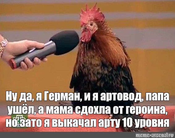 Meme: Ну да, я Герман, и я артовод, папа ушёл, а мама сдохла от