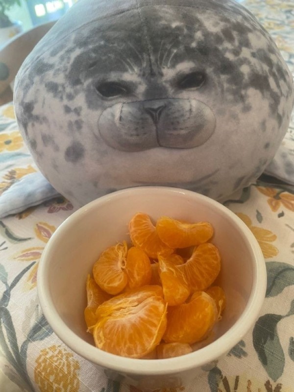 Create meme: toy seal, soft toy seal, soft toy seal