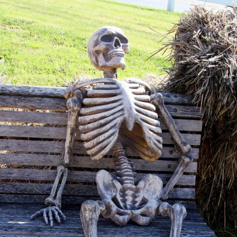 Создать мем: скелет на скамейке, скелет на дне мем, скелет ждет мем