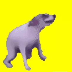 Create meme: dancing dog, dancing dog meme, a dog dancing on a green background