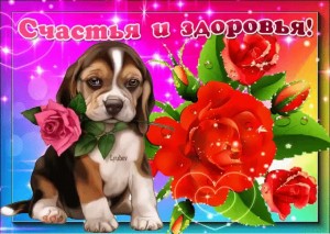 Создать мем: открытки вам просили передать, собачка с розой в зубах картинки, открытки с пожеланиями добра