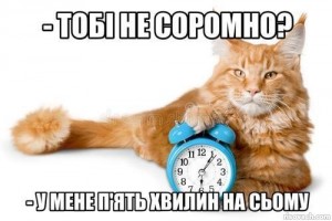 Создать мем: time, cat i, alarm clock