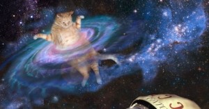 Create meme: cat in space, space cat